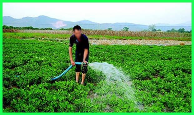 養殖廢水處理后灌溉田地